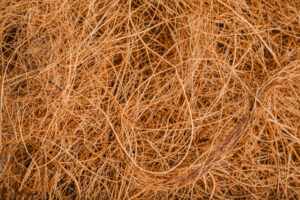 Vetiver Exports in Tamil Nadu