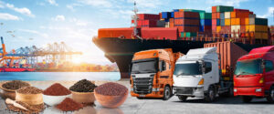 Best Exports in Tamil Nadu